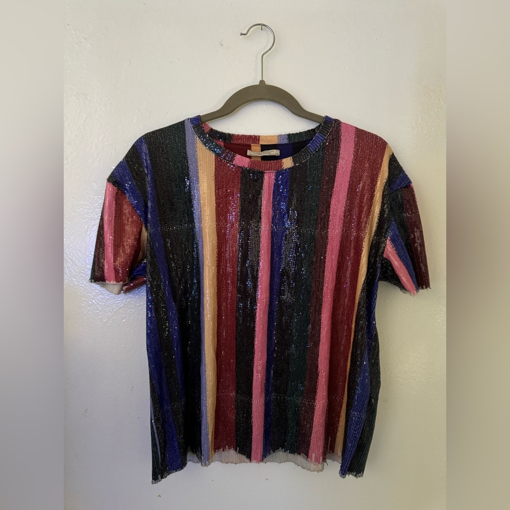 Zara Multicolor Striped Sequin Top